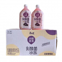 康师傅1L小酪多多（12瓶）4月