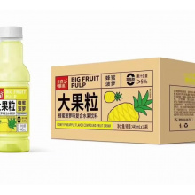 天府果缘菠萝味（445ml*15）
