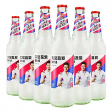 大窑汽水荔枝味玻璃瓶480ml*12